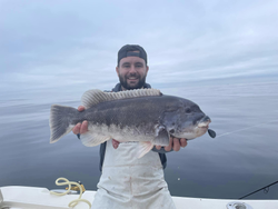 Tautog  Fishing Delight in Sea Isle City!